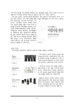 해브앤비 기업전략분석및 해외진출 성공요인분석과 문제점 극복전략제안-5