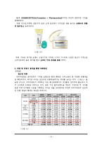 해브앤비 기업전략분석및 해외진출 성공요인분석과 문제점 극복전략제안-9