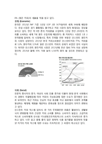 한국네슬레 Nestle 기업분석과 네슬레 한국시장진출 현지화 마케팅전략분석-4