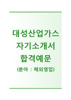 (대성산업가스자기소개서 + 자기소개서합격자스펙) 대성산업가스(영업해외영업) 자기소개서 합격예문 [대성산업가스자소서지원동기대성산업채용첨삭항목]-1