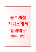 (동부제철자기소개서 + 면접기출문제합격자스펙) 동부제철(영업마케팅) 자기소개서 합격예문 [동부제철자소서동부그룹채용지원동기첨삭항목]-1