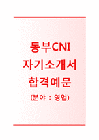 (동부CNI자기소개서 + 면접기출문제합격자스펙) 동부CNI(영업)자기소개서 합격예문 [동부CNI자소서지원동기첨삭항목]-1