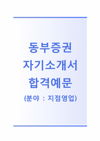 [동부증권-지점영업합격자기소개서]동부증권자소서+[면접기출문제]_동부증권공채자기소개서_동부증권채용자소서_동부증권자기소개서_동부증권자소서항목-1