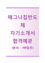 [매그나칩반도체-HR업무합격자기소개서]매그나칩반도체자소서+면접기출문제_매그나칩반도체공채자기소개서_매그나칩반도체채용자소서-1