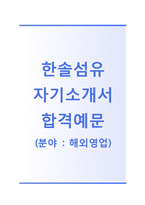 [한솔섬유-영업합격자기소개서]한솔섬유자소서+[면접기출]_한솔섬유공채자기소개서_한솔섬유채용자소서_한솔섬유해외영업자기소개서-1