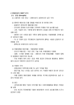 현대자동차 해외시장진출 마케팅 성공사례분석과 현대자동차 향후전략제언및 나의의견-12