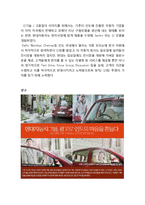 현대자동차 해외시장진출 마케팅 성공사례분석과 현대자동차 향후전략제언및 나의의견-19