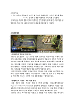 현대자동차 해외시장진출 마케팅 성공사례분석과 현대자동차 향후전략제언및 나의의견-20
