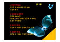 글로벌 금융환경과 정치 및 문화적 환경-2