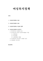 여성복지론 - 여성복지정책(여성복지정책의 개념과 목표 및 대상과 범주, 여성복지정책과 복지국가)-1