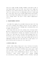 여성복지론 - 여성복지정책(여성복지정책의 개념과 목표 및 대상과 범주, 여성복지정책과 복지국가)-4