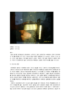 [재료역학실험] Shadow Moire(그림자식 모아레) 예비, 결과 보고서-6