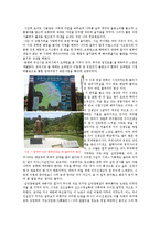 [답사기행문] 오죽헌 답사 기행문-2