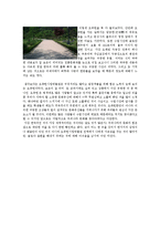 [답사기행문] 오죽헌 답사 기행문-6