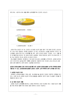 [성의 이해] 성매매 특별법, 성매매 실태 및 현황, 성매매 여성을 위한 프로그램 및 대안에 관해서-7