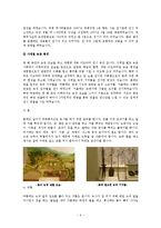 [한국민속과 전통문화] 나의 민속문화 체험학습 - 통영 오광대 놀이, 부천 무형문화 엑스포, 부평 역사박물관-6