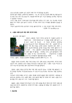 스쿨존의 개념 및 현황과 교통사고 사례와 해결방안 조사-5