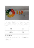 생물학 실험 - 용액의 산도 측정법 및 완충계-3