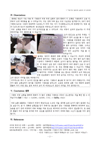 실험보고서 - 콘크리트 비중 시험-2