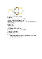 원예작물 생리학 - 에너지와 효소-4