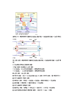 원예작물 생리학 - 에너지와 효소-7