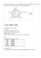 닌텐도 마케팅 SWOT,STP,4P전략분석과 닌텐도 한국시장 진출전략분석과 향후방향-6