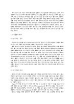 [유아발달 A형]피아제와 비고츠키 이론을 각각 설명 & 두 이론이 시사하는 바를 적용할 수 있는 사례를 들어 설명하시오-3