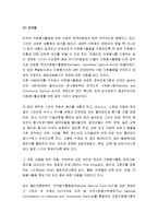 [자원봉사론] 미국의 자원봉사활동 지원체계 - 미국의 자원봉사활동의 근거법과 지원조직 및 지원내용-2