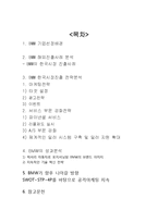 BMW 한국진출 마케팅,서비스전략분석과 BMW의 성과분석및 BMW 향후 마케팅전략방안 제안-2