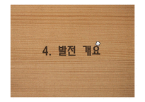[창업계획서] 종합 먹거리 전문점 프랜차이즈 창업 사업계획서-16