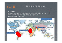 제3세계와 NGO의 활동-3