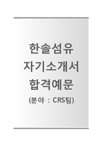(한솔섬유자기소개서 + 면접기출문제) 한솔섬유(CRS팀) 자기소개서 합격예문 [한솔섬유자소서한솔섬유채용지원동기첨삭항목]-1
