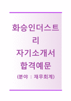 (화승인더스트리자기소개서 + 면접기출문제) 화승인더스트리(재무회계) 자기소개서 합격예문 [화승인더스트리자소서화승자기소개서지원동기첨삭항목]-1