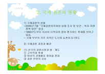 다문화가족복지(국제결혼, 국제결혼현황, 국제결혼가족, 국제결혼가족복지) PPT 파워포인트-5