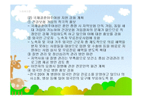 다문화가족복지(국제결혼, 국제결혼현황, 국제결혼가족, 국제결혼가족복지) PPT 파워포인트-13