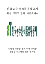 한국농수산식품유통공사 인턴 최신 BEST 합격 자기소개서!!!!-1