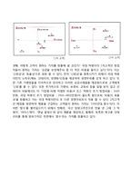 국대떡볶이 vs 죠스떡볶이 프랜차이즈 경영전략 비교분석및 개선방안 제안-12