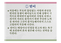 알프레드 아들러의 생애와 개인심리학 이론 PPT 파워포인트-14
