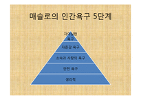 (인간행동과사회환경, 인행사) 매슬로의 생애와 이론, 주요개념 PPT 파워포인트-5