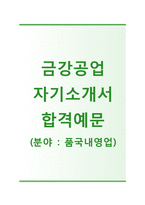 (금강공업자기소개서 + 면접기출문제) 금강공업(영업직폼국내영업) 자기소개서 합격예문 [금강공업자소서지원동기첨삭항목]-1