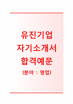 (유진기업자기소개서 + 면접기출문제) 유진기업(영업) 자기소개서 합격예문 [유진기업자소서유진기업채용지원동기첨삭항목]-1