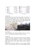 세스코 CESCO 일본시장 진출 글로벌 마케팅 전략분석과 세스코 향후과제분석-4