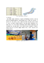 세스코 CESCO 일본시장 진출 글로벌 마케팅 전략분석과 세스코 향후과제분석-7