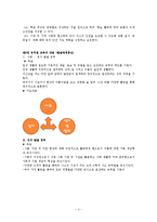 [유치원 교육과정] 유치원 교육과정, 1차, 2차 교육과정, 교육과정 비교, 유치원 교육 방침 비교-4