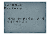 성균관대학교 브랜드 커뮤니케이션 전략-20