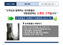 아시아나항공 서비스마케팅 성공사례분석및 아시아나항공 보완점및 지향점제안-19