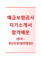 (예금보험공사자기소개서 + 면접기출문제) 예금보험공사(청년인턴일반행정) 자기소개서 합격예문 [예금보험공사자소서예금보험공사인턴채용첨삭항목]-1