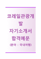 (코레일관광개발자기소개서 + 면접기출문제) 코레일관광개발(국내여행) 자기소개서 합격예문 [코레일관광개발자소서한국철도공사채용첨삭항목]-1