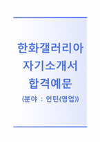 (한화갤러리아자기소개서 + 면접기출문제합격자스펙) 한화갤러리아(인턴영업) 자기소개서 합격예문 [한화갤러리아자소서한화갤러리아인턴채용]-1