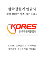 한국광물자원공사 인턴 최신 BEST 합격 자기소개서!!!!-1